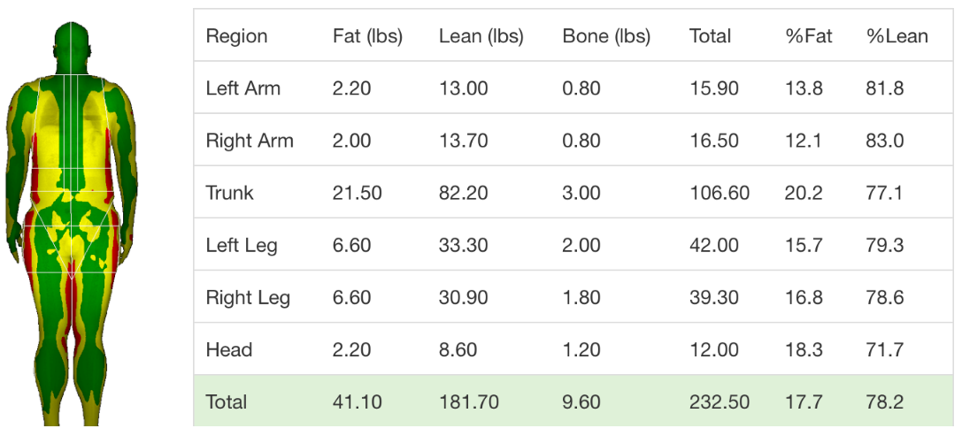 DXA body composition data sample