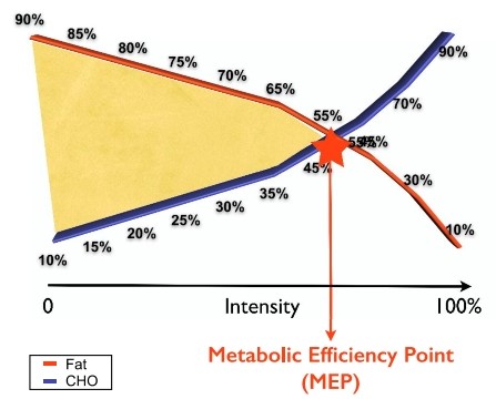 Juice diet to lose weight image 5